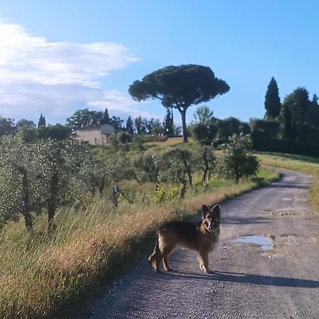 Casale La Giara Apartment Sorrezzana Luaran gambar
