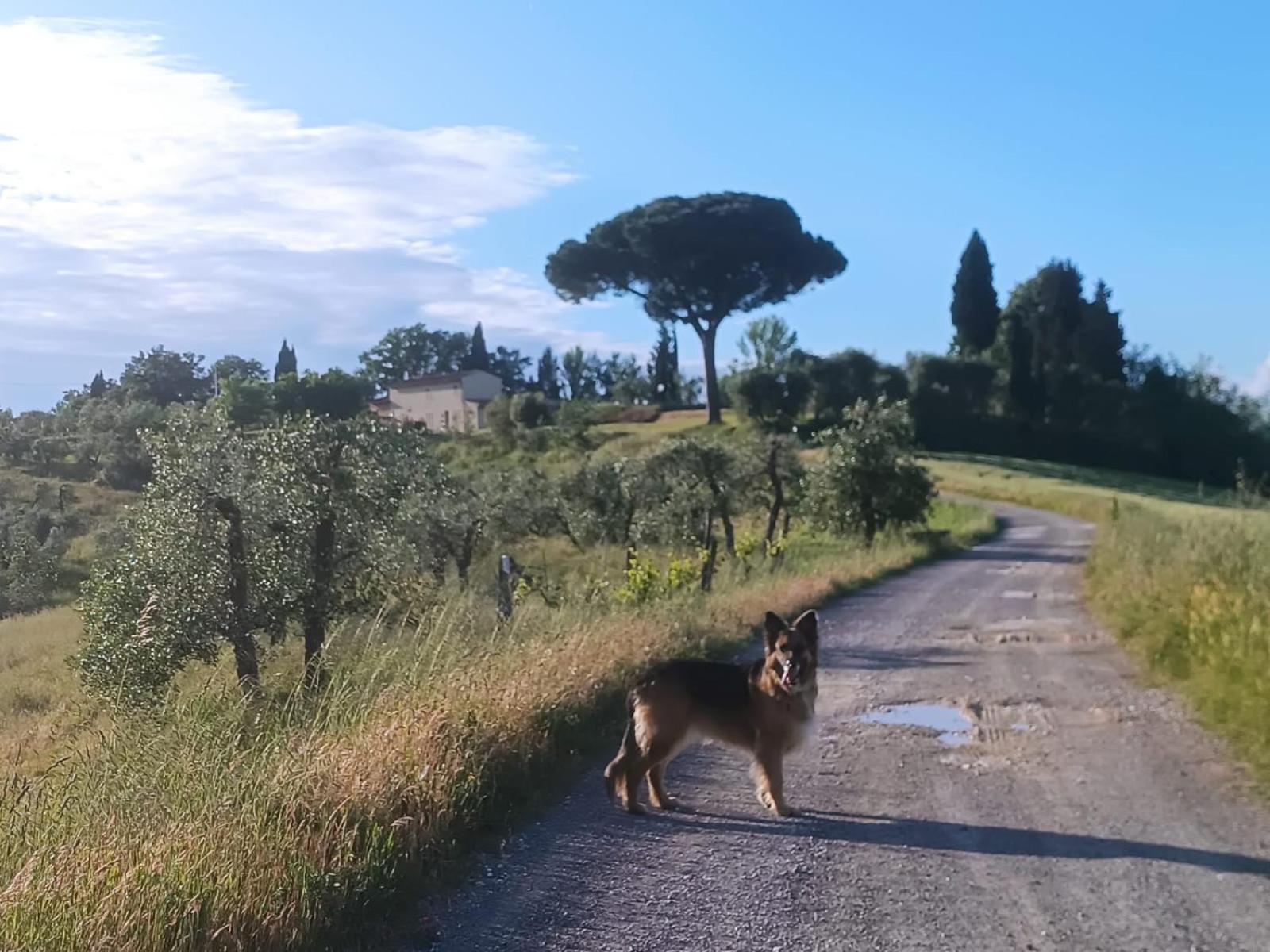 Casale La Giara Apartment Sorrezzana Luaran gambar
